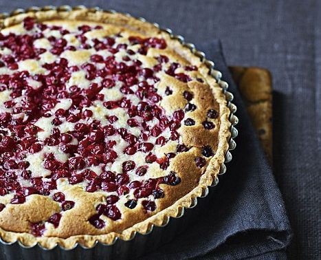 Ribizlis pite