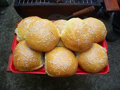 Hamburger buci