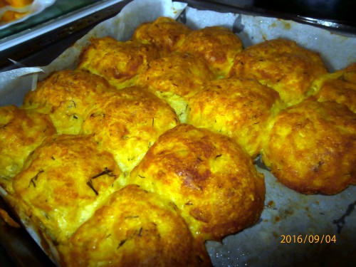 SAJTOS BURGONYALABDA