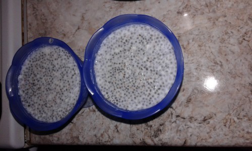 Kókuszos chia puding