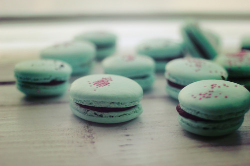 Macaron áfonyás töltelékkel