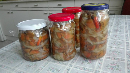 Savanyitott gomba